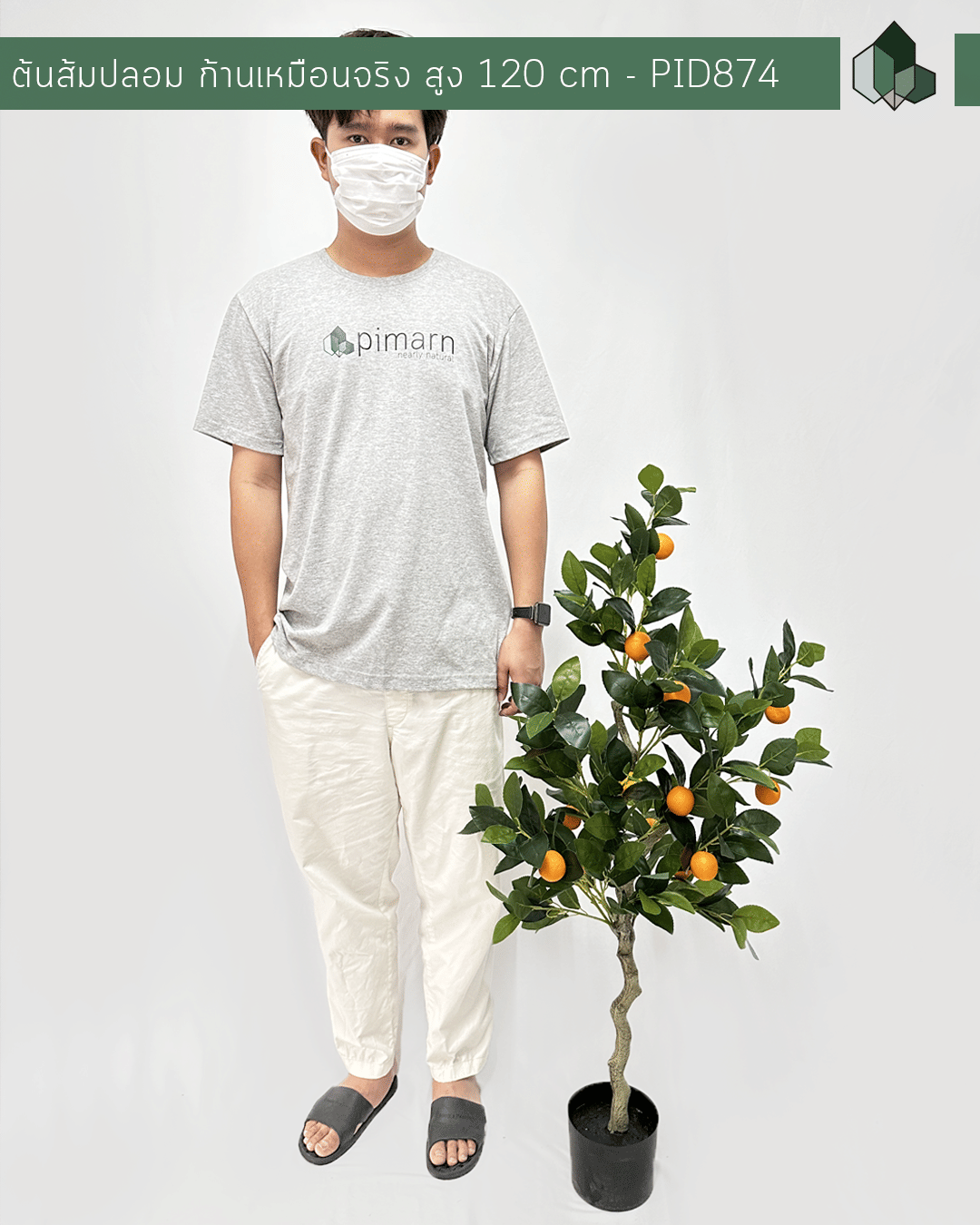 ต้นส้มปลอม PIMARN 120 ซม. สีเขียว พร้อมกระถางสีดำ_1